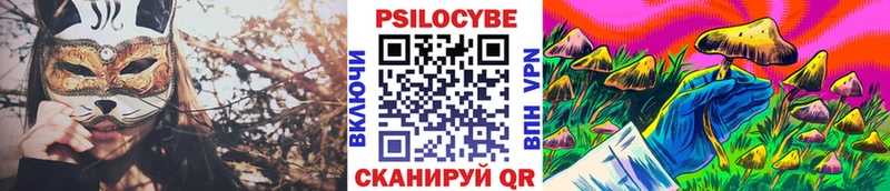 Псилоцибиновые грибы прущие грибы  Суджа 